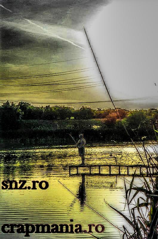 Cupa Seniorilor (2) -2013  - 1010875hdrmode2.JPG